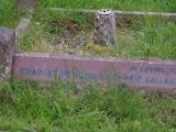 image of grave number 636277
